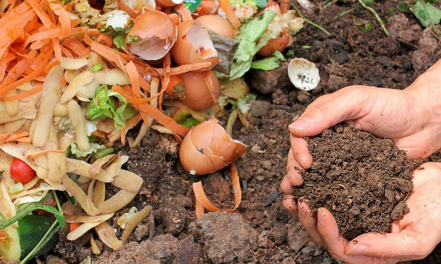 naturlig plantenæring