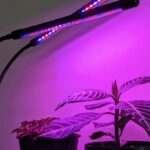 Få bedre plantevekst med LED-vekstlys Plante artikler 4